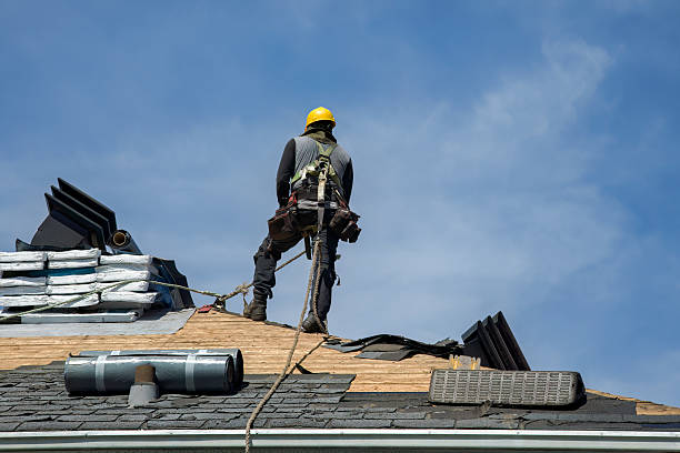 Professional Storm Damage Roof Repair technician working in Zionsville, IN